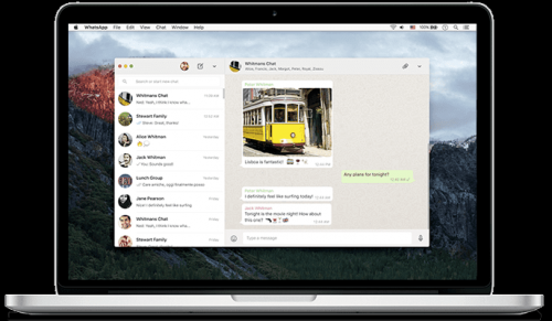 WhatsApp网页版登录指南｜免下载扫码秒登电脑版（2025最新教程）