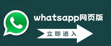 WhatsApp网页版怎么添加好友